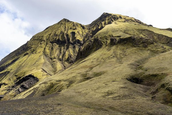Cours en ligne : Tout ce que vous devez savoir sur la toxoplasmose en grossesse