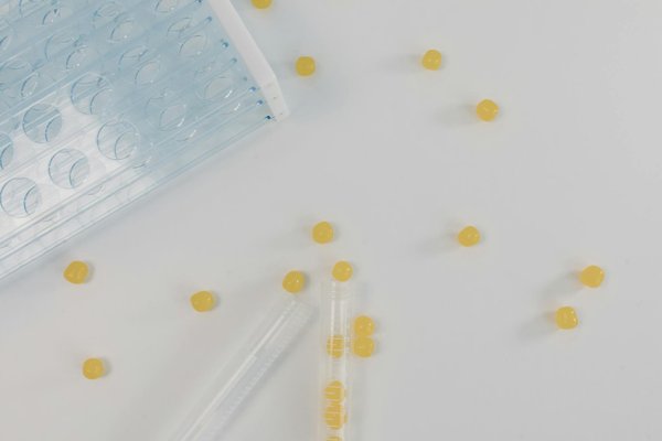 Journal des résidents d'ehpad : simplifiez la communication familiale